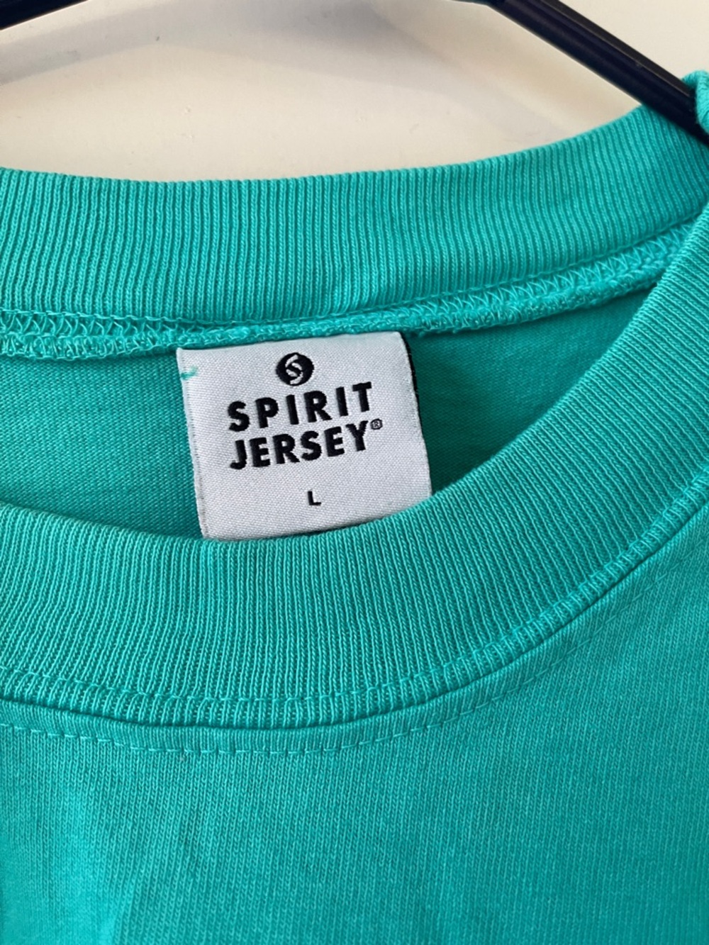SPIRIT JERSEY Smithsonian Teal Long Sleeve Graphic Tee Washington DC Dinosaur - Picture 8 of 8